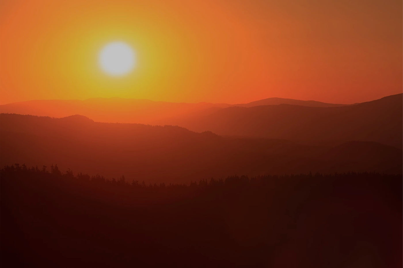 The Summer Is Upon Us – Don't Forget Hydration Safety.