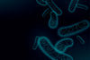 BUGS – THE GASTROINTESTINAL MICROBIOME