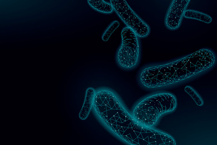 BUGS – THE GASTROINTESTINAL MICROBIOME