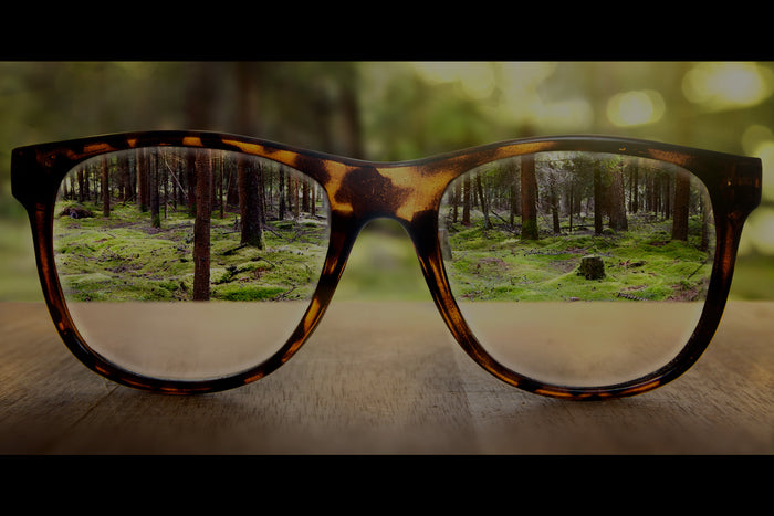 LABEL READER’S DIGEST | PRECISION VISION