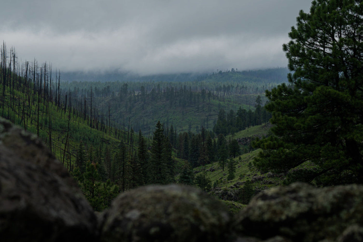 Get Your Hands On Some Nature