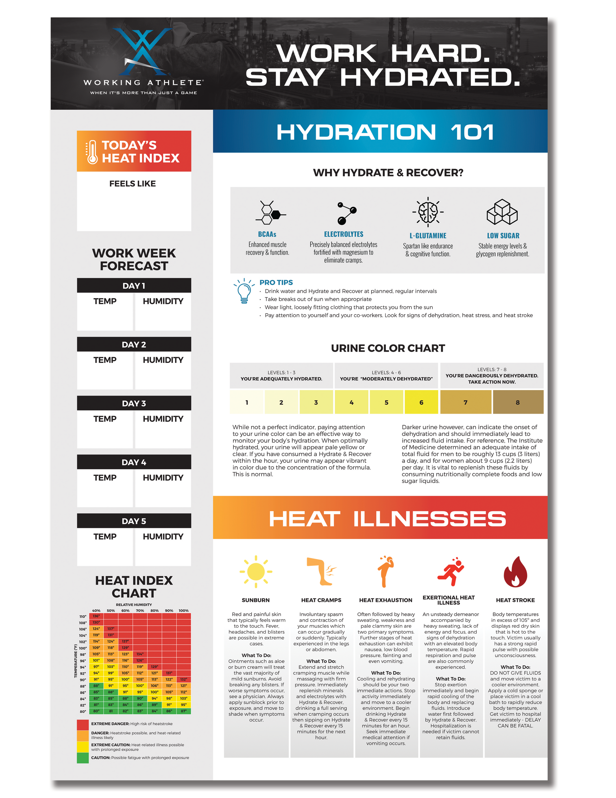 Working Athlete Pilot Package